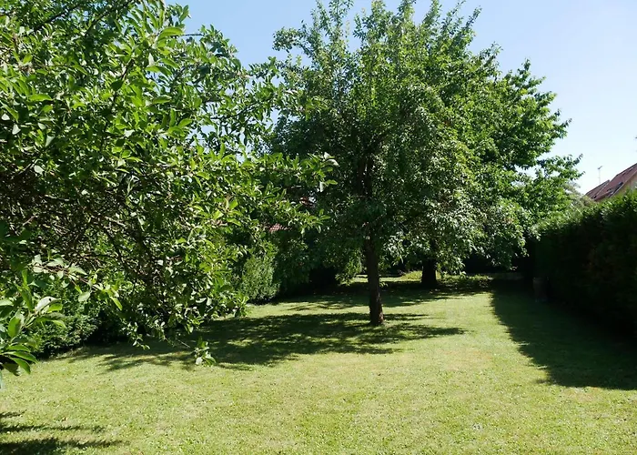 Bed & Breakfast Au Gre Des Chateaux Goxwiller